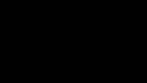 Optik Meyer's - 3D-Sehtest 