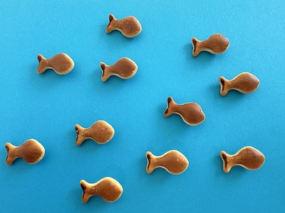 Vorteile Omega 3 400jpg